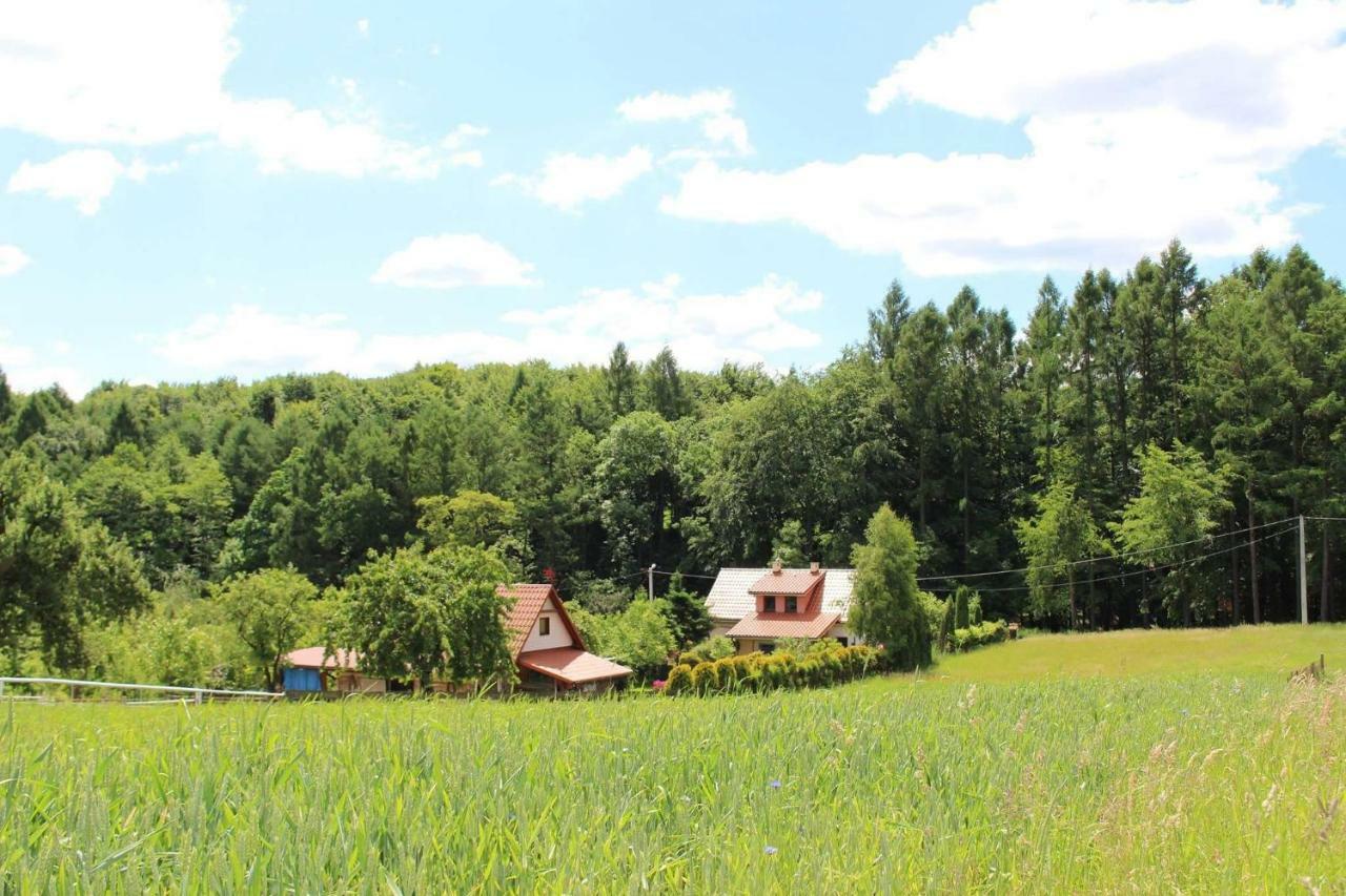 Ranczo W Dolinie Karpia - Blisko "Energylandii" Zator Villa Spytkowice  Bagian luar foto